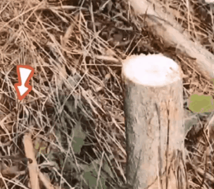 1655798973581594.gif 6.gif