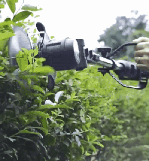 1655799064215528.gif 8.gif