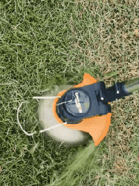 1655799004333686.gif 7.gif