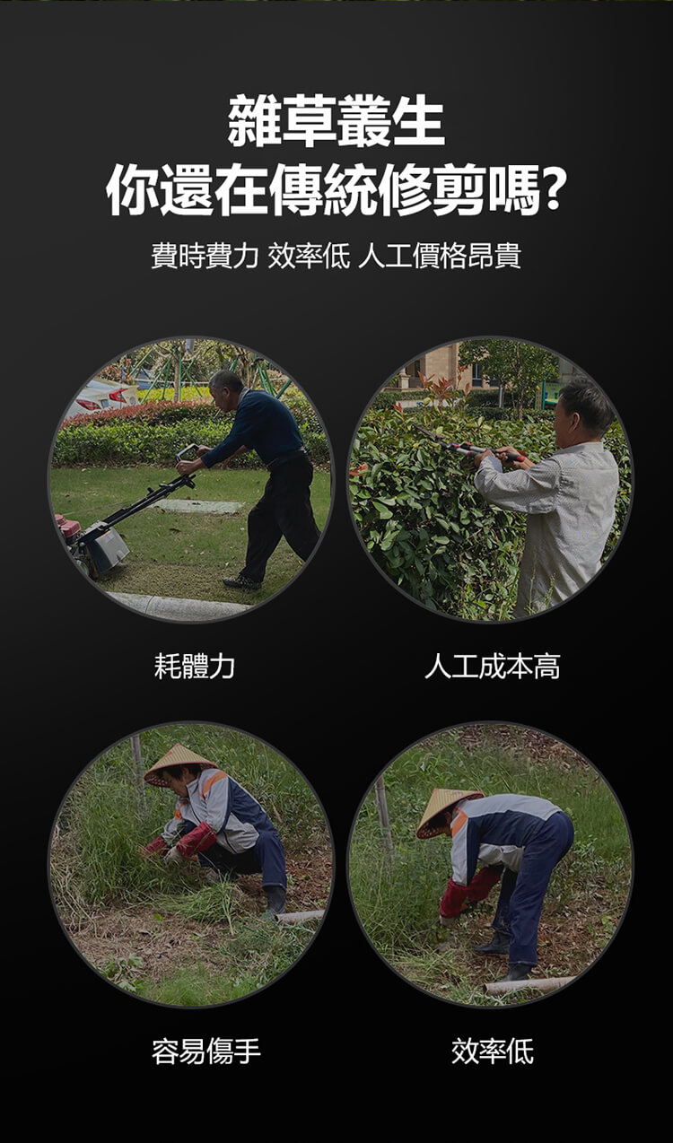 1655799086267421.jpg 10.jpg