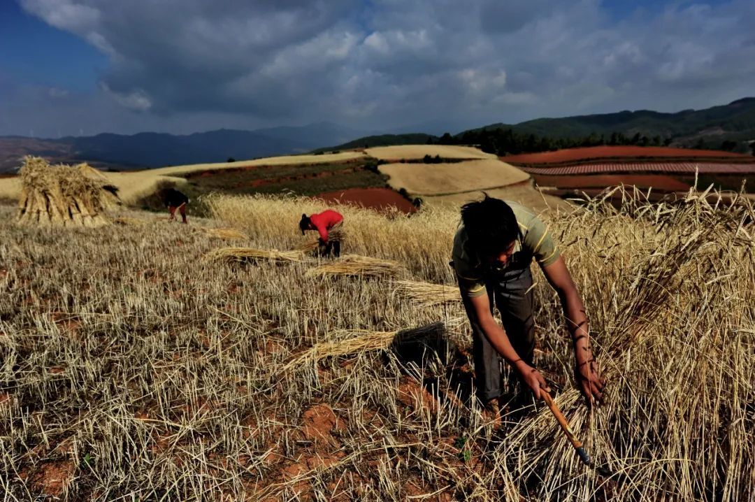 1651226880162471.jpg 3.jpg