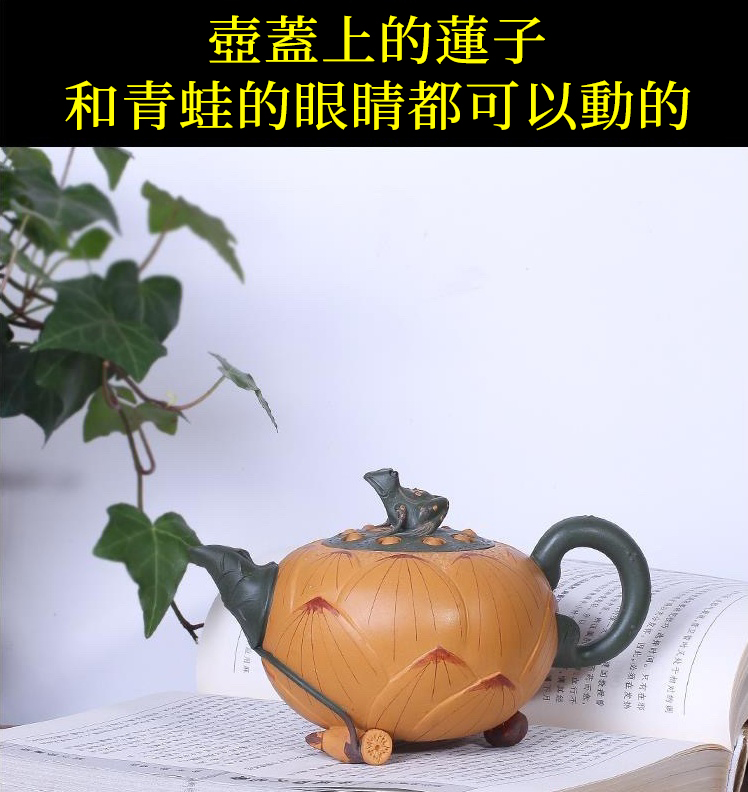 1675322951595072.jpg 详情-12_看图王.jpg