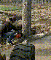 1603875701222741.gif 锯4.gif