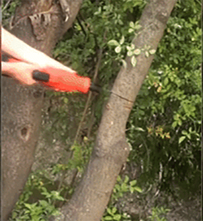 1592484811162550.gif 10.gif