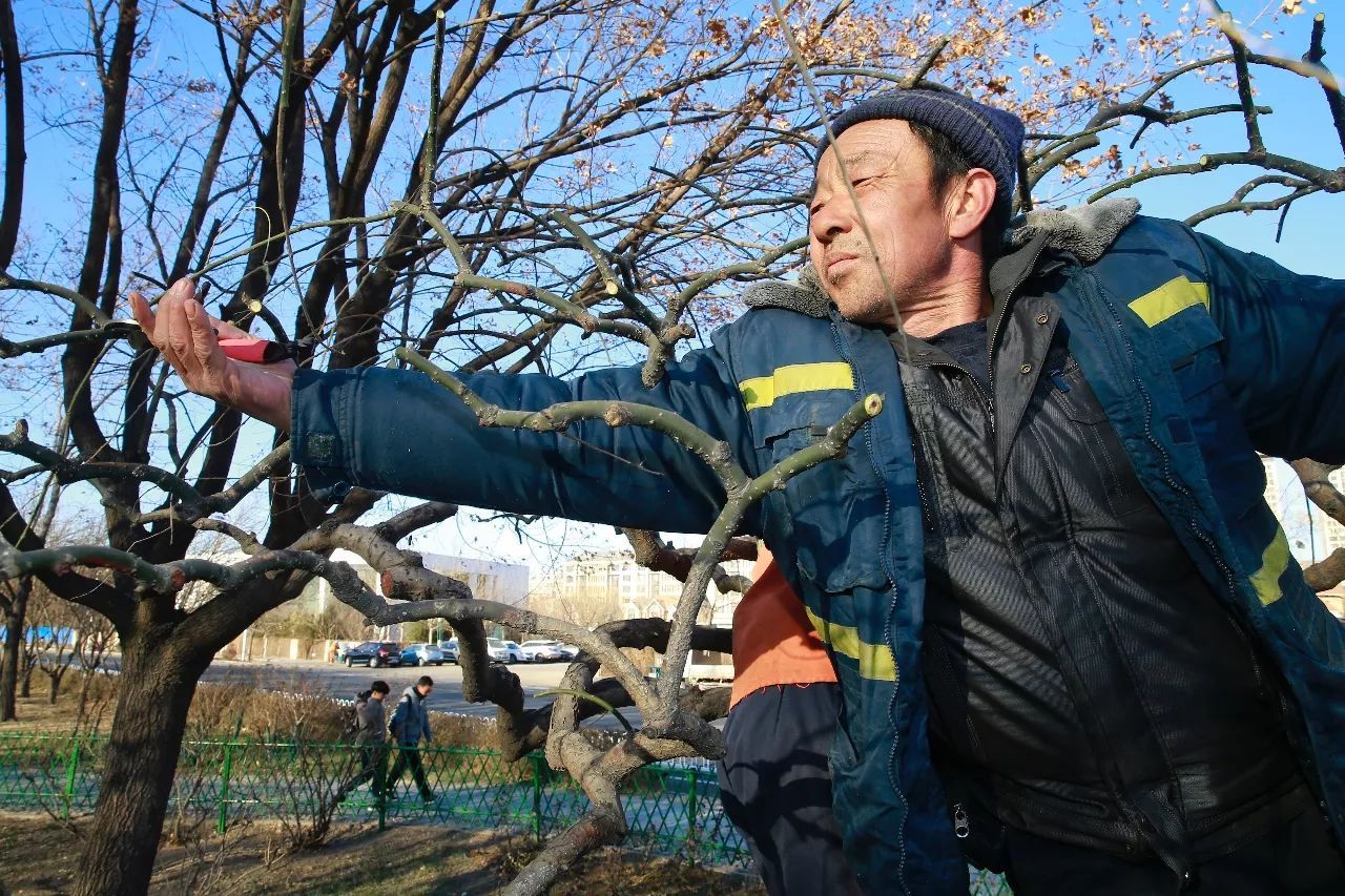 1677738310328306.jpg 8c3c173a1da6427ebcd937d53ee87c50.jpeg.jpg