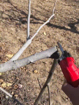 1677738336532949.gif 300217fe9ca3276a49401c9dc9639950.gif.gif