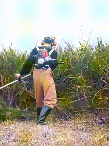 1656389135939719.gif 1619765705824295.gif