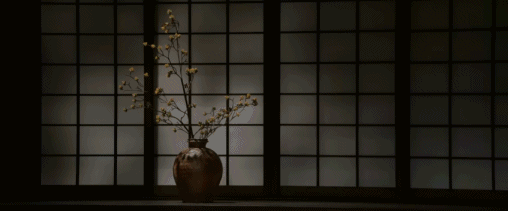 1683173003800137.gif 1.gif