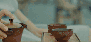 1683173098851509.gif 2.gif