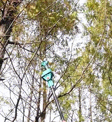 1688202399897581.gif 20221112_a67e4b52121481aa_385791504440_mp4_264_hd_taobao.gif.gif