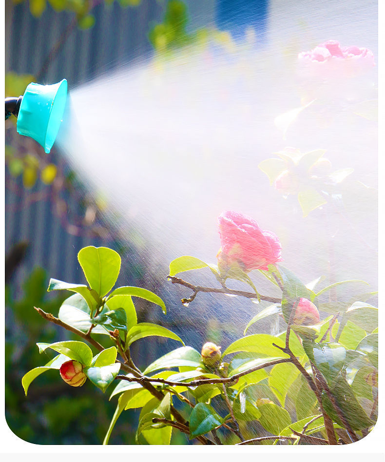 1659108355612134.jpg 15 (2).jpg