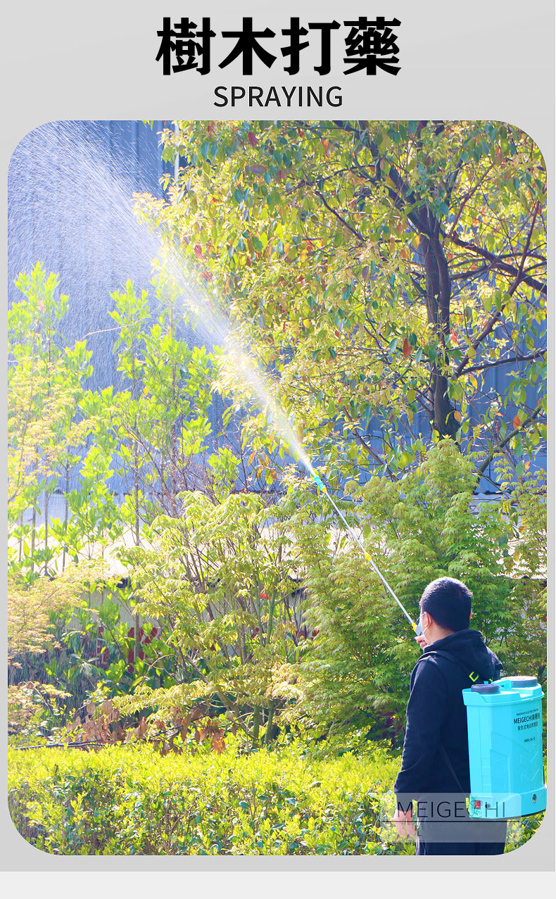 1659108436530411.jpg 19.jpg