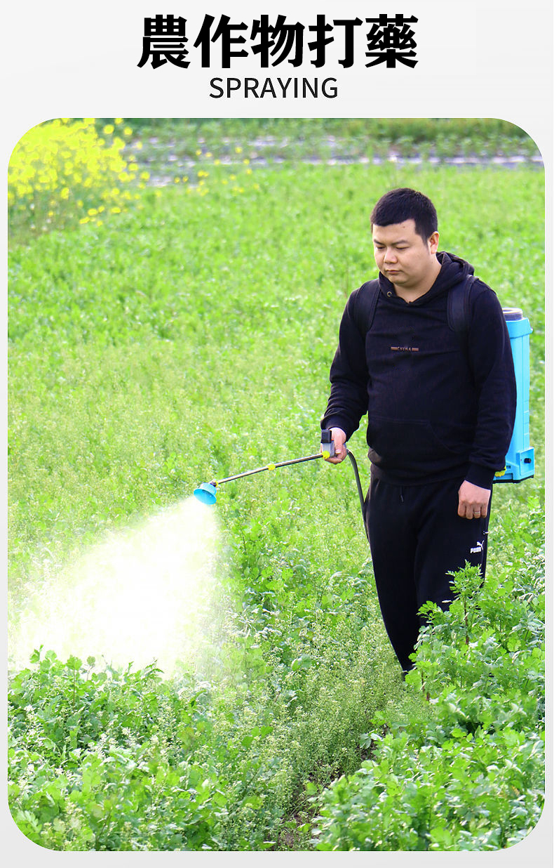 1659166867401440.jpg 17.jpg